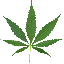 File:Cannabis.png