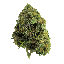 File:Marijuana.png