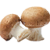 Mushroom1.png